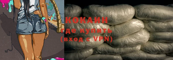 дживик Богородск