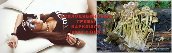 метадон Богородицк