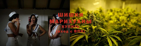 гидропоника Богданович