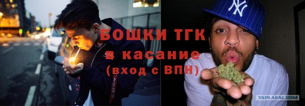 дживик Богородск