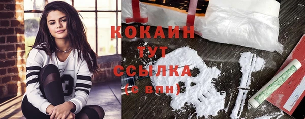 гидропоника Богданович
