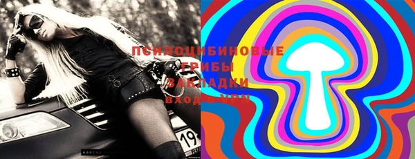 метадон Богородицк