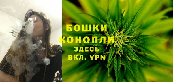 дживик Богородск