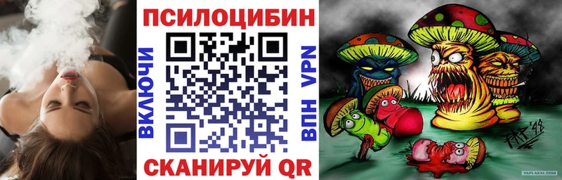 закладка  Череповец  Псилоцибиновые грибы GOLDEN TEACHER 